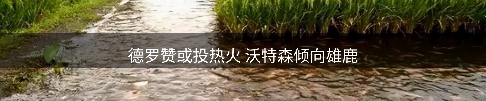 新闻趋势
