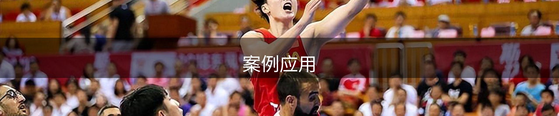 案例应用