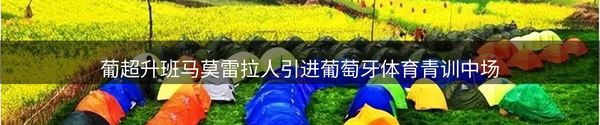 新闻趋势